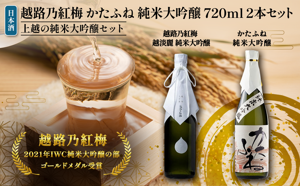 日本酒 越路乃紅梅 かたふね 純米大吟醸 720ml 2本 セット お酒 おすすめ 酒 ふるさと納税 新潟 新潟県産 にいがた 上越 上越産