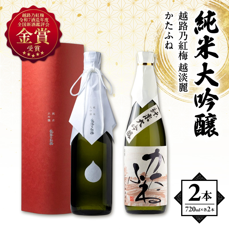 日本酒 【令和7酒造年度全国新酒鑑評会 金賞受賞】 越路乃紅梅 越淡麗 かたふね 純米大吟醸 720ml 2本 セット お酒 おすすめ 酒 ふるさと納税 新潟 新潟県産 にいがた 上越 上越産