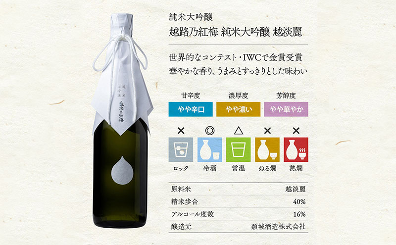 日本酒 越路乃紅梅 かたふね 純米大吟醸 720ml 2本 セット お酒 おすすめ 酒 ふるさと納税 新潟 新潟県産 にいがた 上越 上越産