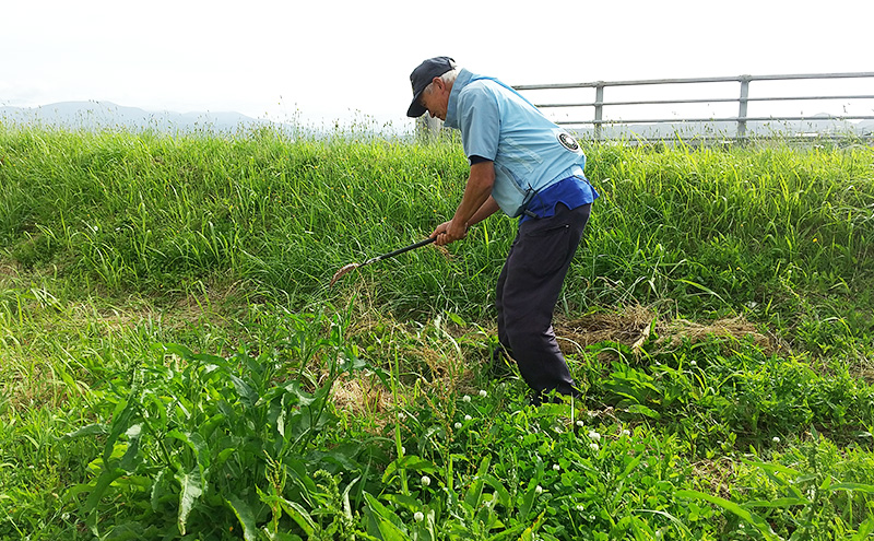 草取り 代行プラン S（上越市内限定）草刈り 手作業 雑草 除草 上越市