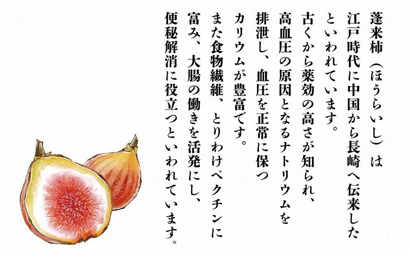 リキュール 無花果ものがたり 720ml リキュール酒 酒 お酒 いちじく イチジク 無花果  新潟 新潟県産 にいがた 上越 上越産