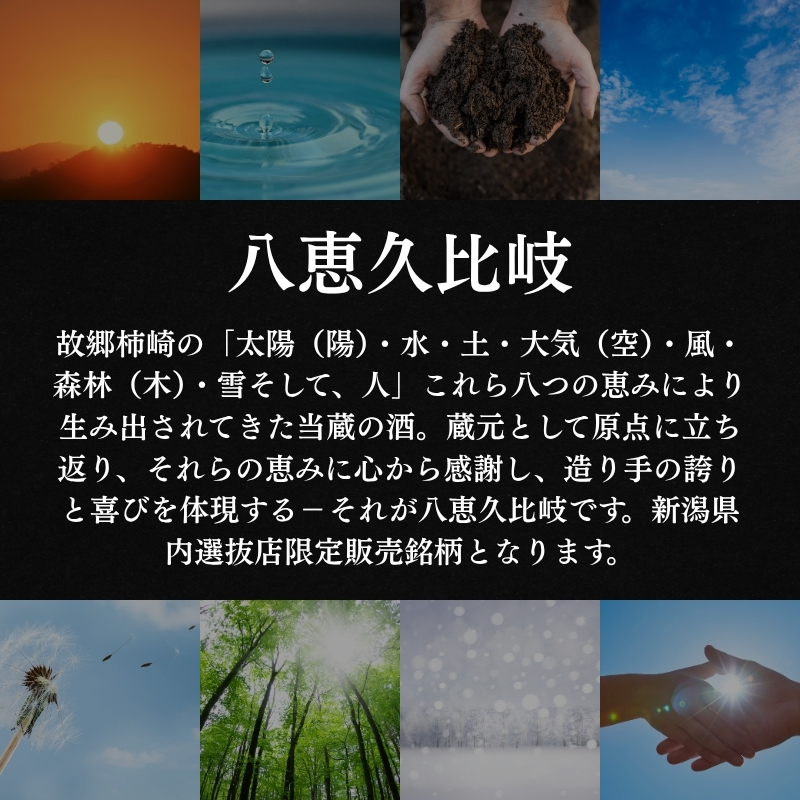 日本酒 八恵久比岐 純米大吟醸雫酒「陽」720ml（専用化粧箱・紙袋付） 酒 お酒 純米大吟醸 新潟 新潟県産 にいがた 上越 上越産
