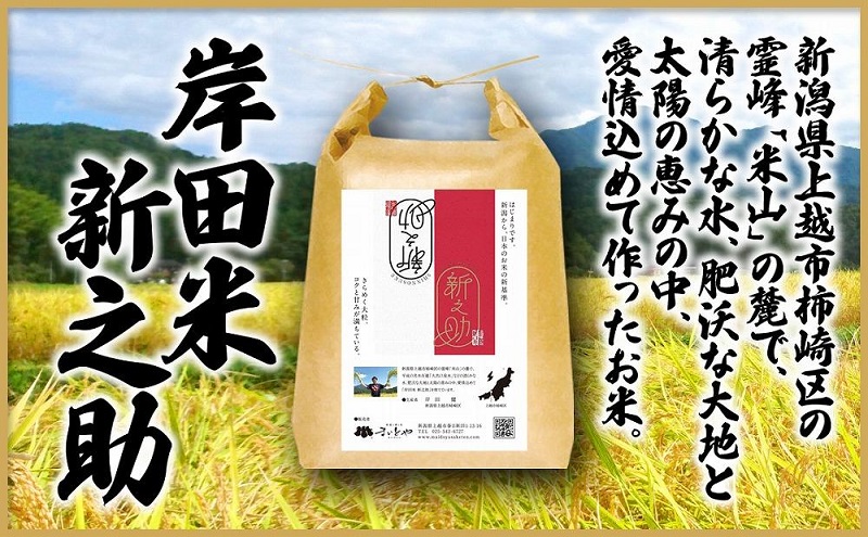 米 上越市柿崎区産 新之助 5kg お米 コメ おこめ 新潟 新潟県産 にいがた 上越 上越産