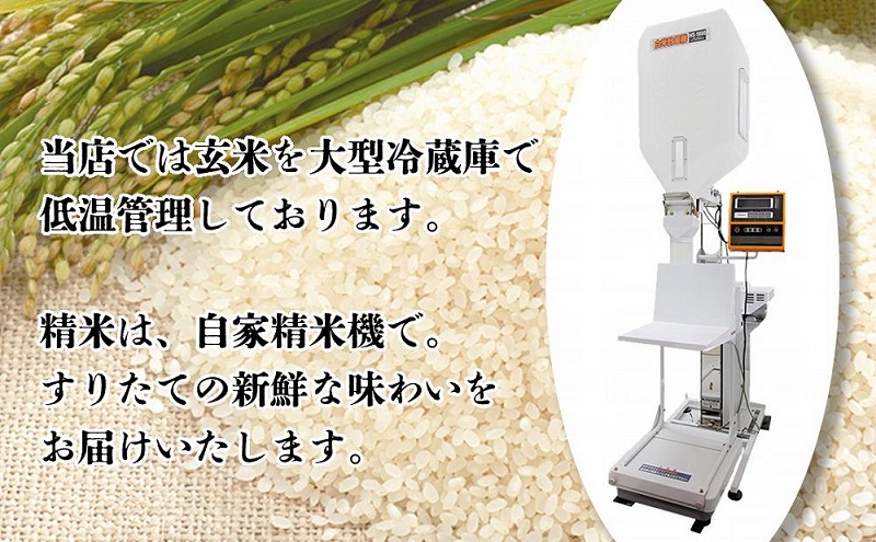 米 上越市柿崎区産 新之助 5kg お米 コメ おこめ 新潟 新潟県産 にいがた 上越 上越産