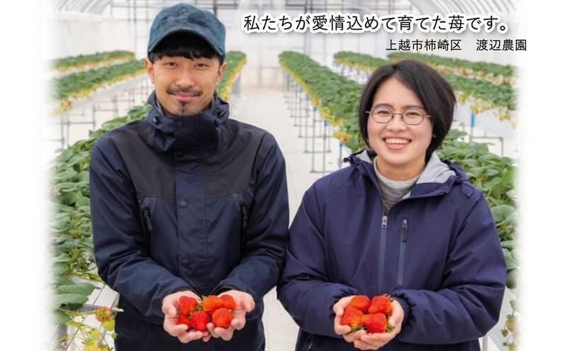 越後姫ものがたり 300ml×2本セット 越後姫ものがたり イチゴ いちご 蓬莱柿 イチゴ果汁 新潟県 新潟県産 にいがた 上越 上越産