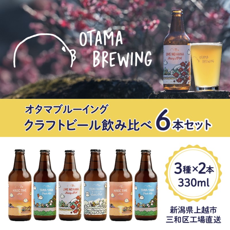 クラフトビール 飲み比べ 6本 セット 新潟県上越市 330ml 定番4種から3種×2本 工場直送 ビール