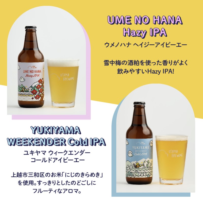 クラフトビール 飲み比べ 6本 セット 新潟県上越市 330ml 定番4種から3種×2本 工場直送 ビール