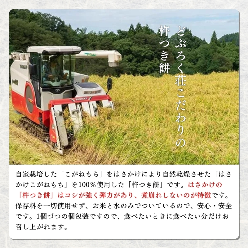 鬢 螟ゥ譌・蟷イ縺 縲梧攘縺、縺埼、縲搾シ10蛟句・繧奇シ嘉5陲 繧ゅ■ 縺企、