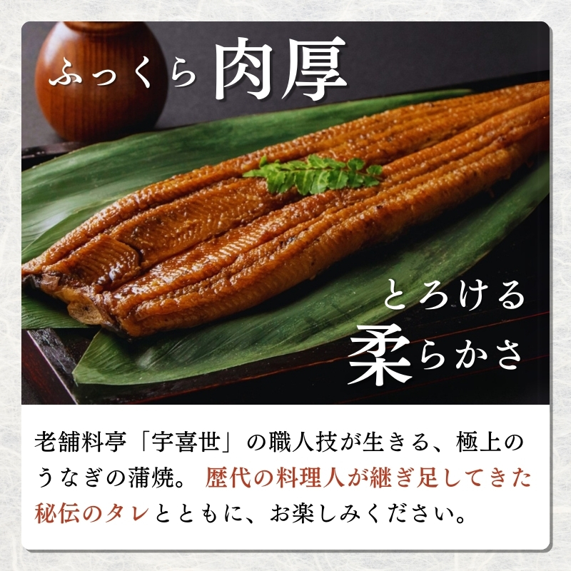 うなぎ 【老舗料亭の味】職人が焼いたうなぎ蒲焼き150g×3尾 百年料亭 宇喜世名物 鰻 蒲焼き かば焼き
