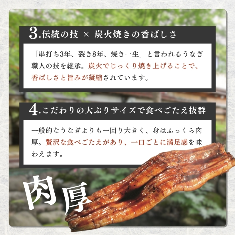 うなぎ 【老舗料亭の味】職人が焼いたうなぎ蒲焼き(150g×1尾)百年料亭 宇喜世名物  鰻 蒲焼き かば焼き