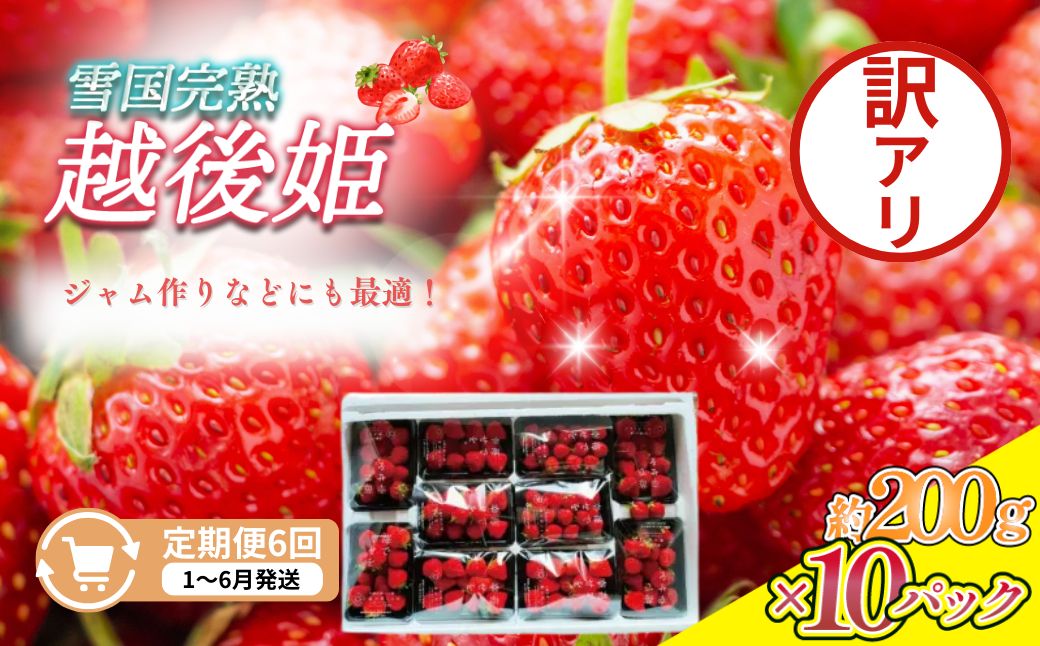 定期便 6回【1～6月発送】訳あり越後姫 約200g×10定期配送 越後姫 えちごひめ 苺 いちご 訳あり 新潟