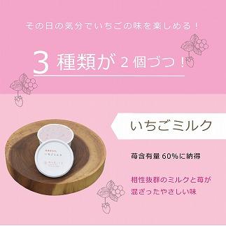 アイス 越後姫アイスギフト 6個 セット 越後姫 アイスクリーム ギフト 詰め合わせ 冷凍 新潟