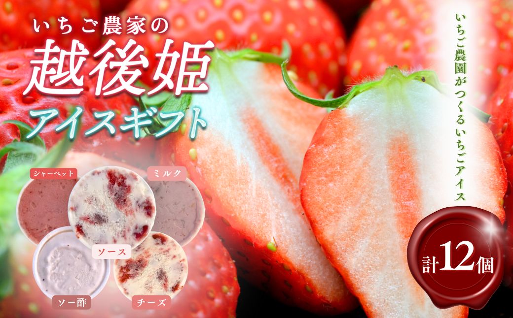 アイス 越後姫アイスギフト 12個 セット 越後姫 アイスクリーム ギフト 詰め合わせ 冷凍 新潟