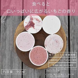 繧「繧、繧ケ 雜雁セ悟ァォ繧「繧、繧ケ繧ョ繝輔ヨ 12蛟 繧サ繝繝 雜雁セ悟ァォ 繧「繧、繧ケ繧ッ繝ェ繝シ繝 繧ョ繝輔ヨ 隧ー繧∝粋繧上○ 蜀キ蜃 譁ー貎