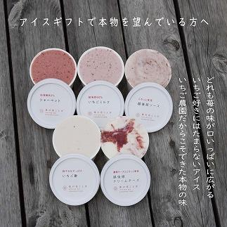 繧「繧、繧ケ 雜雁セ悟ァォ繧「繧、繧ケ繧ョ繝輔ヨ 12蛟 繧サ繝繝 雜雁セ悟ァォ 繧「繧、繧ケ繧ッ繝ェ繝シ繝 繧ョ繝輔ヨ 隧ー繧∝粋繧上○ 蜀キ蜃 譁ー貎