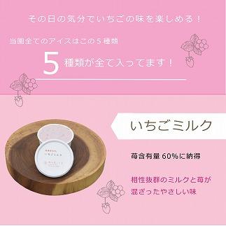 繧「繧、繧ケ 雜雁セ悟ァォ繧「繧、繧ケ繧ョ繝輔ヨ 12蛟 繧サ繝繝 雜雁セ悟ァォ 繧「繧、繧ケ繧ッ繝ェ繝シ繝 繧ョ繝輔ヨ 隧ー繧∝粋繧上○ 蜀キ蜃 譁ー貎