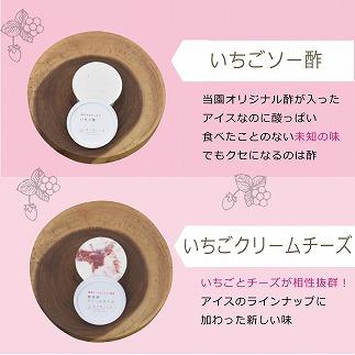 繧「繧、繧ケ 雜雁セ悟ァォ繧「繧、繧ケ繧ョ繝輔ヨ 12蛟 繧サ繝繝 雜雁セ悟ァォ 繧「繧、繧ケ繧ッ繝ェ繝シ繝 繧ョ繝輔ヨ 隧ー繧∝粋繧上○ 蜀キ蜃 譁ー貎