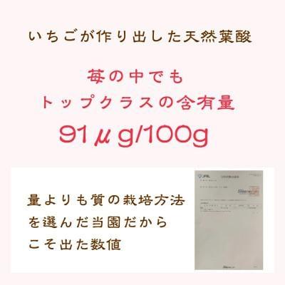 いちご 雪国完熟いちご越後姫 約170g×2P 苺 イチゴ フルーツ 完熟 越後 新潟