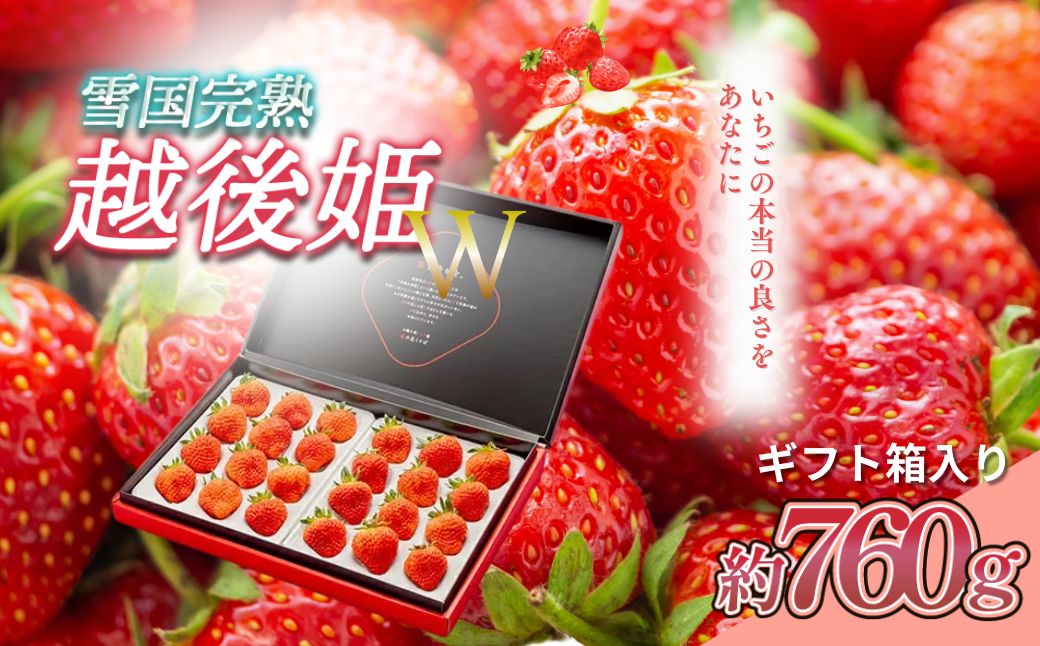 いちご 新潟 雪国完熟越後姫ダブル（約760g）ギフト箱入り イチゴ 苺 フルーツ お取り寄せ 贈り物 上越