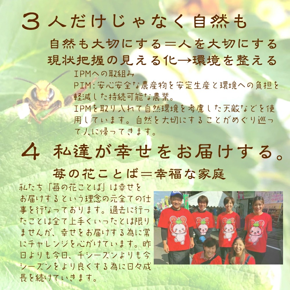 ãã¡ã æ°æœ éªåœå®çè¶åŸå§«ããã«ïŒçŽ760gïŒã®ããç®±å
¥ã ã€ããŽ èº ãã«ãŒã ãåãå¯ã èŽãç© äžè¶