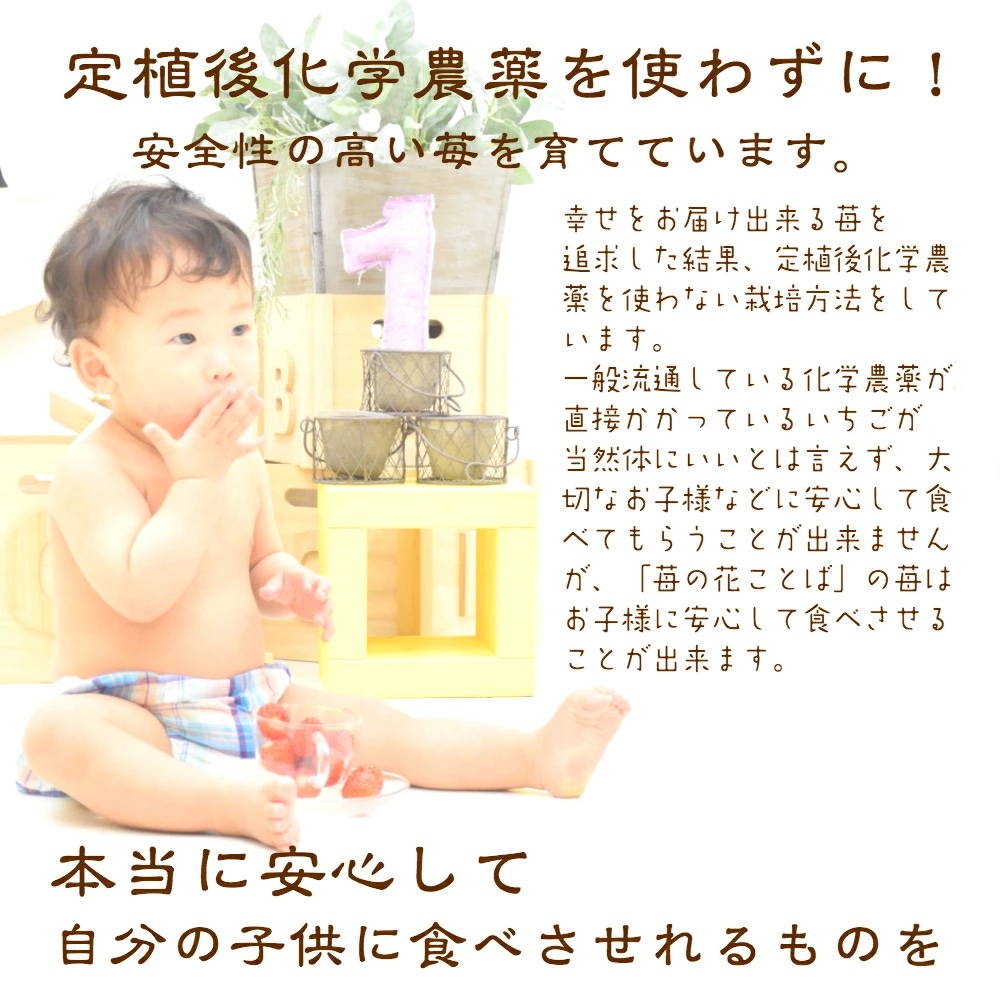 ãã¡ã æ°æœ éªåœå®çè¶åŸå§«ããã«ïŒçŽ760gïŒã®ããç®±å
¥ã ã€ããŽ èº ãã«ãŒã ãåãå¯ã èŽãç© äžè¶