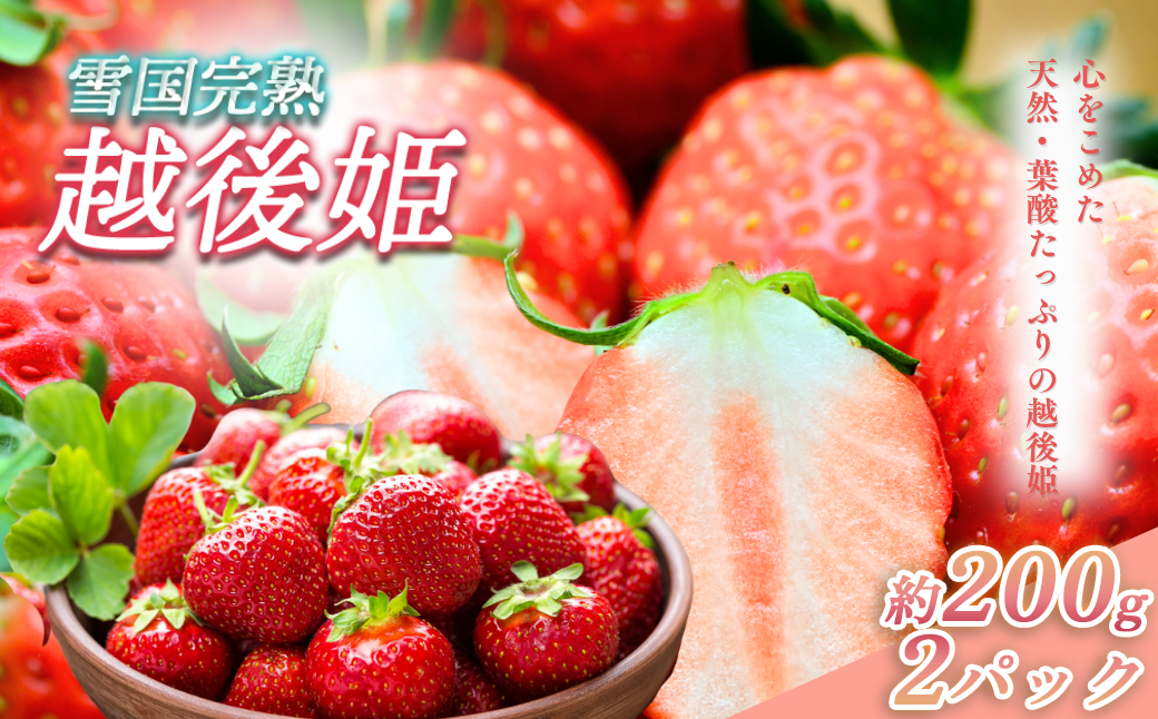 いちご 新潟 雪国完熟越後姫 約200g×2P イチゴ 苺 フルーツ 果物 お取り寄せ ギフト 贈り物 上越