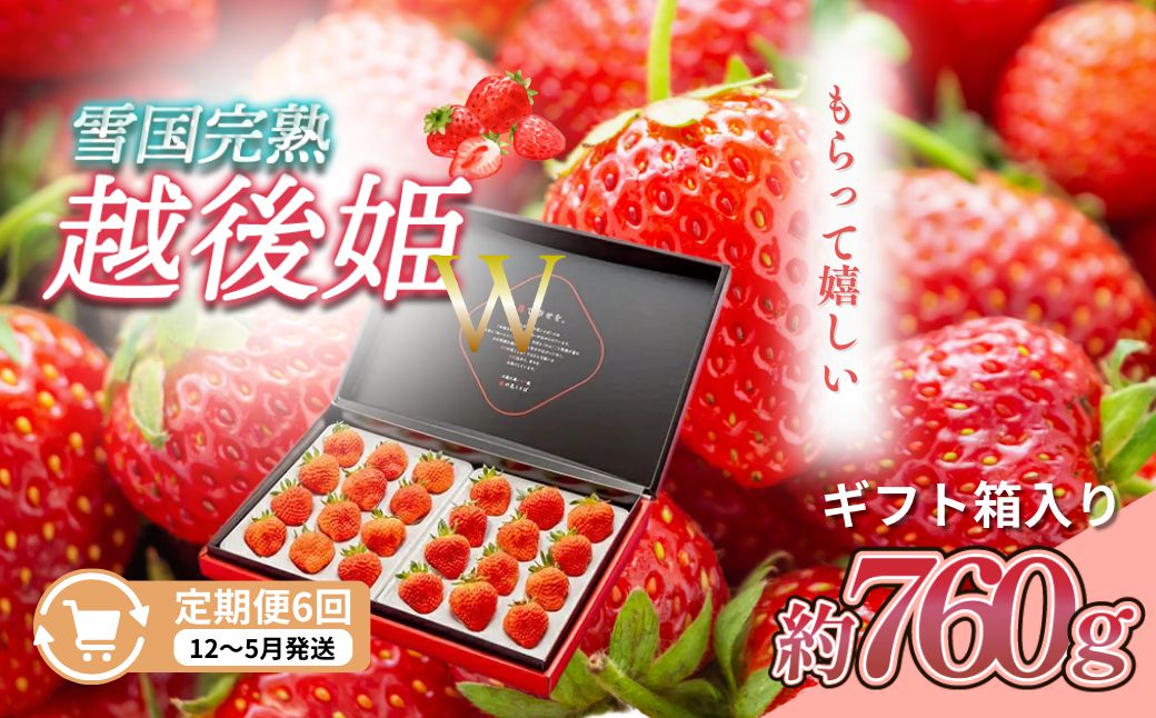 定期便 6回【12～5月発送】いちごの定期配送 雪国完熟いちご越後姫 ダブル（約760g×全6回） 越後姫 いちご