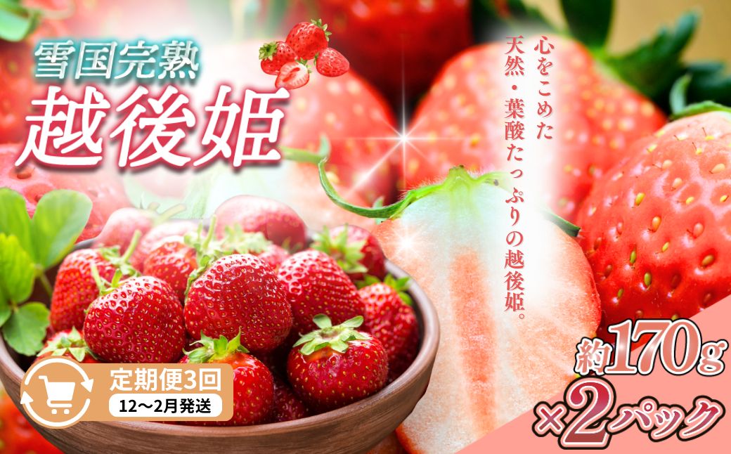 定期便 3回【12～2月発送】いちごの定期配送 雪国完熟いちご越後姫170g×2全3回 越後姫 いちご 定期便 完熟