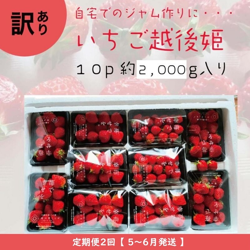 定期便 2回【2025年5～6月発送】訳あり越後姫 約200g×10定期配送 越後姫 えちごひめ 苺 いちご 訳あり 新潟