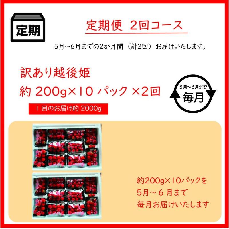定期便 2回【5～6月発送】訳あり越後姫 約200g×10定期配送 越後姫 えちごひめ 苺 いちご 訳あり 新潟