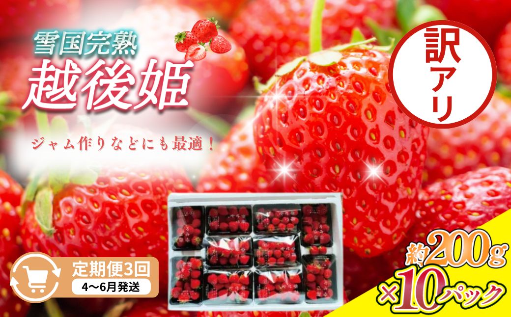 定期便 3回【4～6月発送】訳あり越後姫 約200g×10定期配送 越後姫 えちごひめ 苺 いちご 訳あり 新潟
