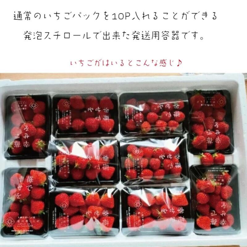 定期便 5回【2～6月発送】訳あり越後姫 約200g×10定期配送 越後姫 えちごひめ 苺 いちご 訳あり 新潟