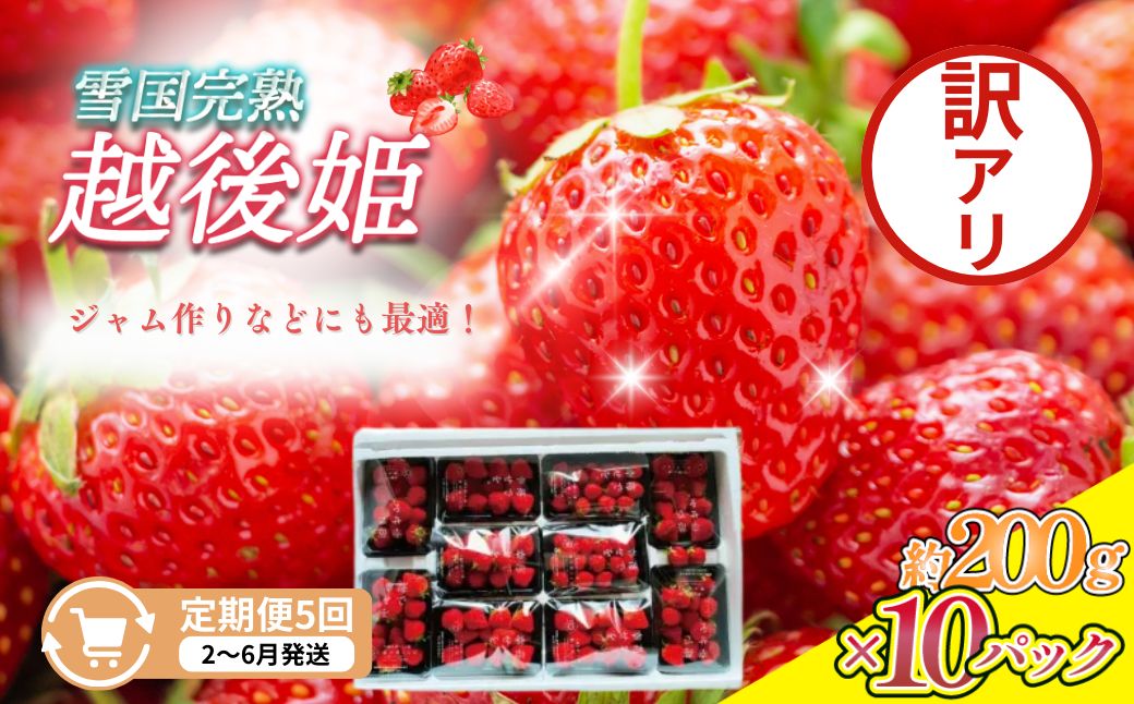 定期便 5回【2～6月発送】訳あり越後姫 約200g×10定期配送 越後姫 えちごひめ 苺 いちご 訳あり 新潟