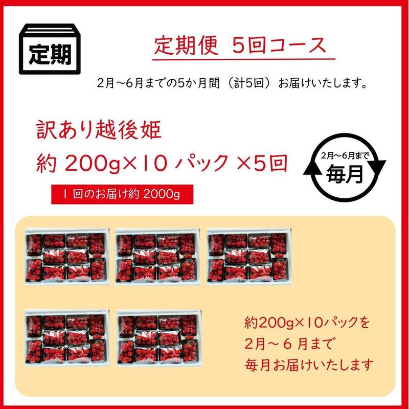 定期便 5回【2～6月発送】訳あり越後姫 約200g×10定期配送 越後姫 えちごひめ 苺 いちご 訳あり 新潟