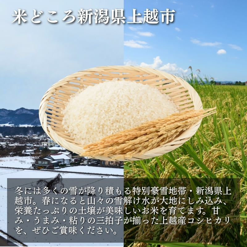 定期便 12ヶ月 【12ヶ月連続お届け】米物語 上越産 コシヒカリ 10kg (5kg×2袋) こしひかり 米 お米 新潟