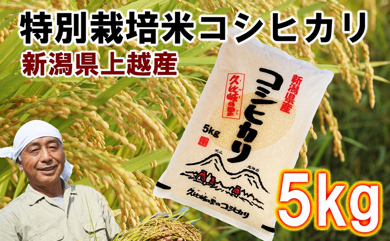 米 【先行販売】新潟県上越産 特別栽培米 コシヒカリ 5kg 【 白米 】令和6年度産 お米 コメ こしひかり 贈答 贈答品 贈答用