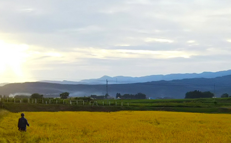 莉、蜥7蟷エ逕」 譁ー貎溽恁荳願カ雁クら肇 繧ウ繧キ繝偵き繝ェ 螳壽悄萓ソ 10kgシ 5kgテ2陲具シ 蜈ィ6蝗 險60kg 縲宣囈譛1ス10譌・逋コ騾√ 逵溽ゥコ繝代ャ繧ッ 諢帶ュ譬ス蝓ケ Riki-saku 繧「繝輔さ繝サ遘句アア霎イ蝣エ縺ョPB邀ウ