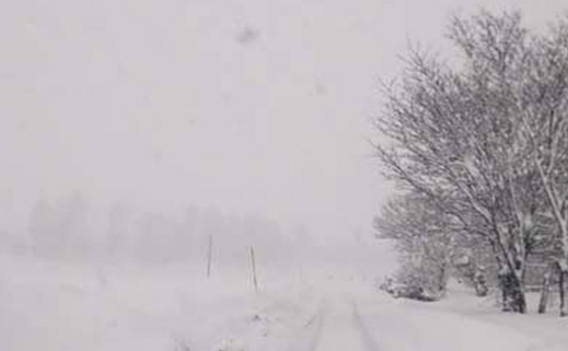 莉、蜥7蟷エ逕」 譁ー貎溽恁荳願カ雁クら肇 繧ウ繧キ繝偵き繝ェ 螳壽悄萓ソ 10kgシ 5kgテ2陲具シ 蜈ィ12蝗 險120kg 縲先ッ取怦1ス10譌・逋コ騾√ 逵溽ゥコ繝代ャ繧ッ 諢帶ュ譬ス蝓ケ Riki-saku 繧「繝輔さ繝サ遘句アア霎イ蝣エ縺ョPB邀ウ