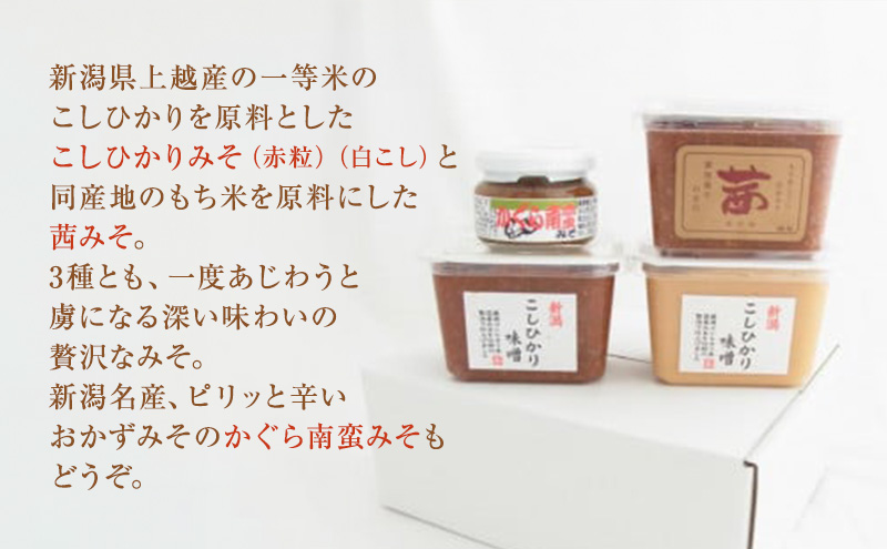 味噌 かぐら南蛮みそ セット (450gカップ 米味噌 3種 かぐら南蛮みそ120g1瓶) あおき味噌 新潟県産 こしひかり みそ 味噌汁 調味料 送料無料