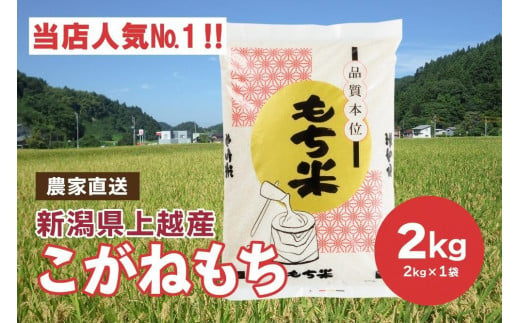 ブランドもち米「 こがねもち 」令和6年産 新潟県産／【精米2kg×1袋】 コガネモチ 米 お米 こめ新潟 上越