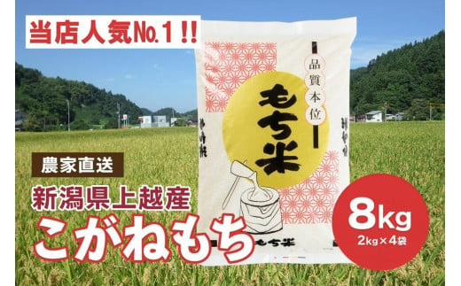 ブランドもち米「 こがねもち 」令和6年産／【精米8kg（2kg×4袋）】コガネモチ 米 お米 こめ 新潟 上越