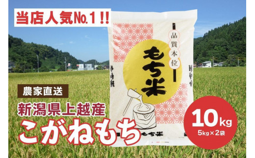 ブランドもち米「 こがねもち 」令和6年産／【精米10kg（5kg×2袋）】コガネモチ 米 お米 こめ 新潟 上越