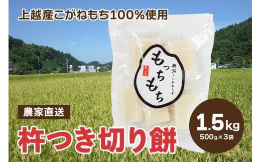 【500袋限定】杵つき切り餅「もっちもち」3袋(合計30個入り)新潟産 もち米・こがねもち100%