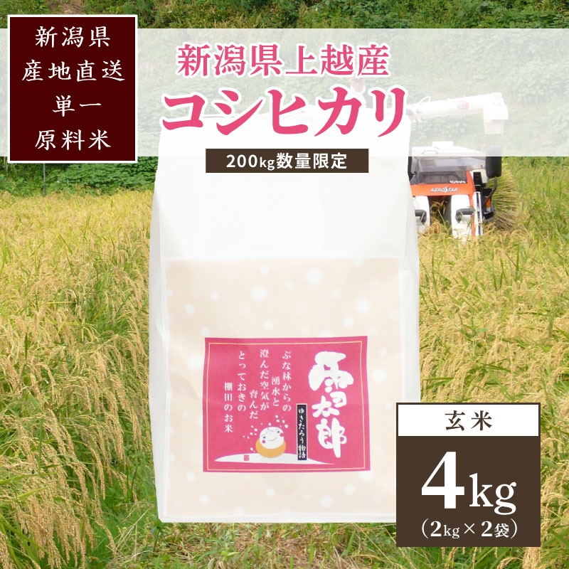 【数量限定】令和7年/新潟上越産「標高480mの山間地で育てた棚田米コシヒカリ」玄米4kg