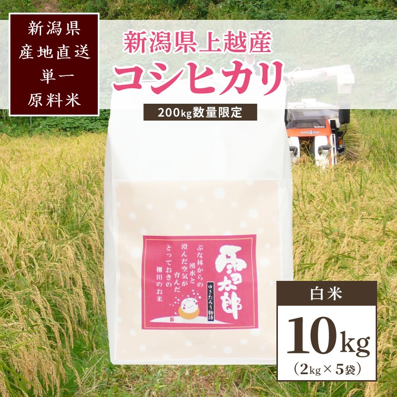 【数量限定】令和7年/新潟上越産「標高480mの山間地で育てた棚田米コシヒカリ」精米10kg