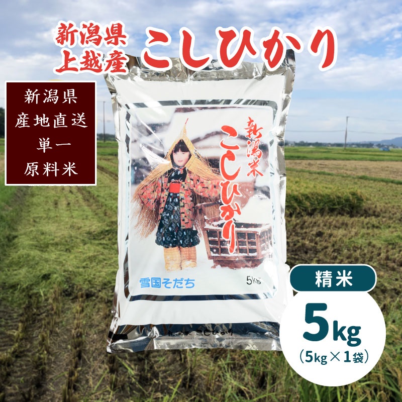 令和7年産・新潟県上越産/コシヒカリ 精米5kg(1袋)|美味安全野菜栽培士が栽培したお米