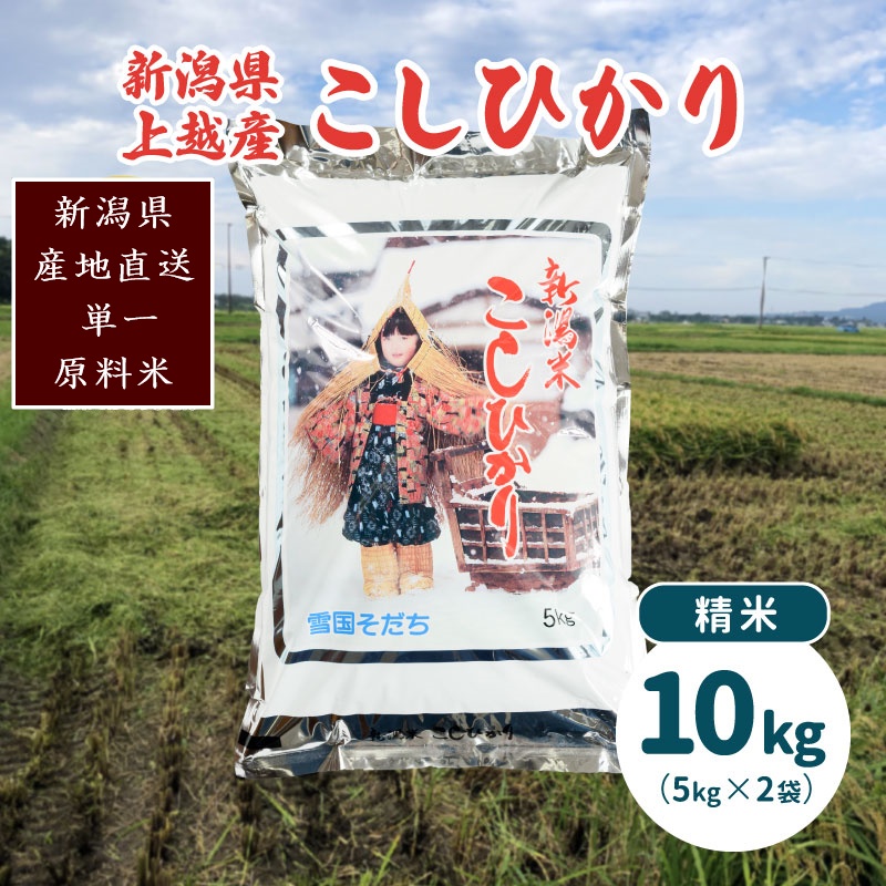 米 令和5年産・新潟県上越産／コシヒカリ 精米10kg（5kg×2）｜美味安全野菜栽培士が栽培したお米