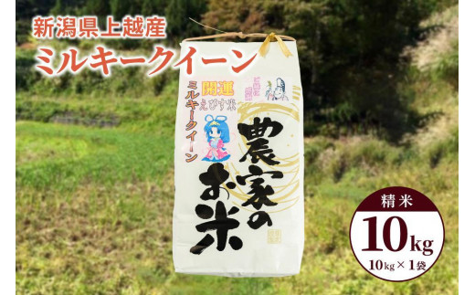 米 お米令和5年産 ミルキークイーン 新潟県上越産 精米10kg 1袋 こめ 新潟 新潟県産 上越 上越産