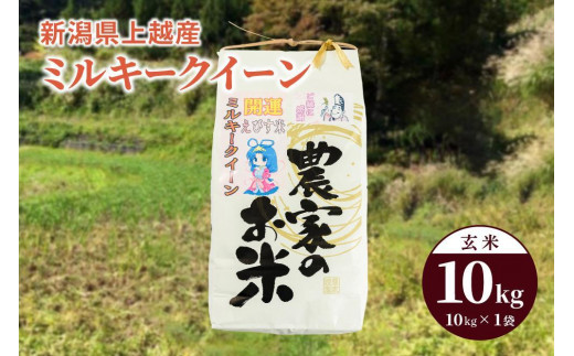 米 お米 令和5年産 ミルキークイーン 新潟県上越産 玄米10kg 1袋 米 お米 こめ 新潟 新潟県産 上越 上越産