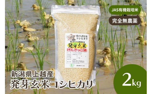 米 お米 令和5年・新潟県産 JAS有機栽培アイガモ農法 コシヒカリ 発芽玄米 2kg こしひかり こめ 新潟 上越